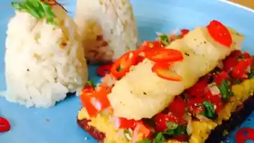 Tofu á casaca