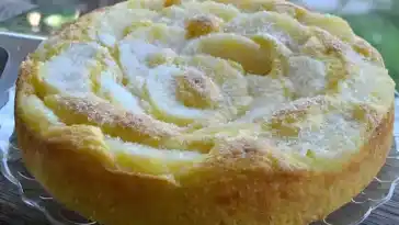 Ananas-Joghurt-Kuchen ohne Butter