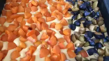 Der beste und schnellste Obst Biskuitkuchen W2xEX 2x