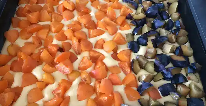 Der beste und schnellste Obst-Biskuitkuchen