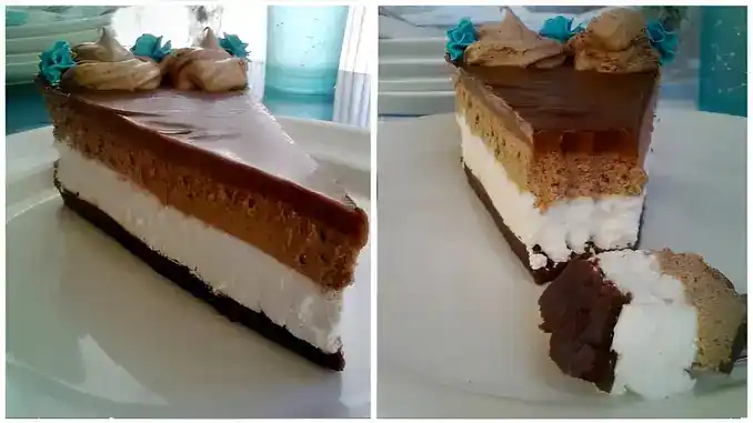 Einfache Nutella Torte ohne Backen