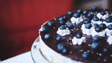 Geriebener Quark und Kokos Kuchen W2xEX 2x