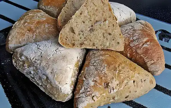 Körnerbrötchen nach Paniniart
