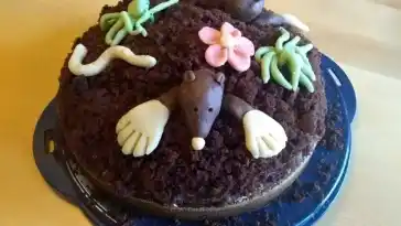 Maulwurfkuchen W2xEX 2x