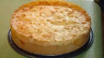 Pfirsichkuchen W2xEX 2x