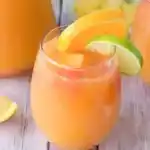 Punsch Multifruits im Thermomix waifu2x 2x jpg