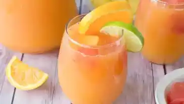 Punsch Multifruits im Thermomix waifu2x 2x jpg
