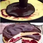 SCHWARZWAeLDER KAeSE TORTE W2xEX 2x