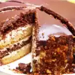 Schoko Nuss Torte schnell einfach gezaubert W2xEX 2x