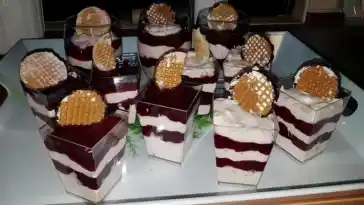 Schokokuss Dessert mit Quark W2xEX 2x