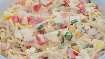 Spaghettisalat mit Putenbrust und Kaese W2xEX 2x