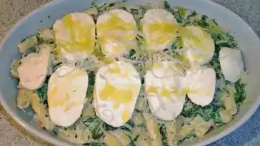 Nudel – Schinken – Spinat – Gratin
