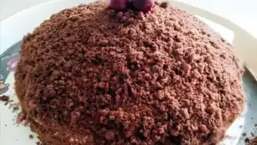 Veganer Maulwurfskuchen waifu2x 2x jpg