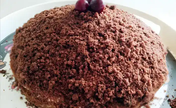 Veganer Maulwurfskuchen