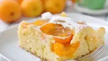 Weicher Aprikosenkuchen mit Thermomix