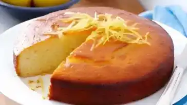 Zitronen Joghurt Kuchen W2xEX 2x webp