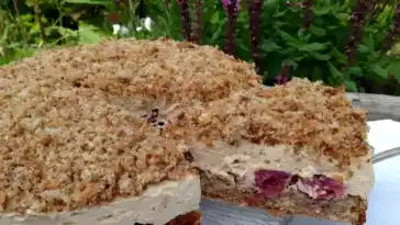 Espresso-Nuss-Torte mit Kirschen