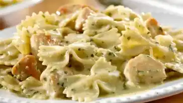 Farfalle-Zucchini-Creme mit dem Thermomix