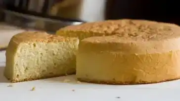 GENIUS THERMOMIX GENOIS W2xEX 2x webp