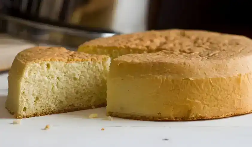 Genius THERMOMIX Genois