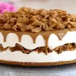 Geeiste Mascarpone- und Spekulatiustorte
