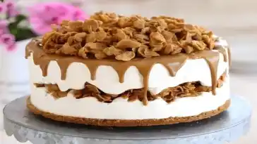 Geeiste Mascarpone- und Spekulatiustorte