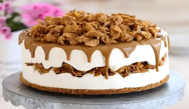 Geeiste Mascarpone- und Spekulatiustorte