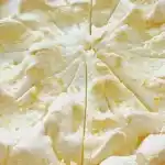 Goldtröpfchen Käsekuchen
