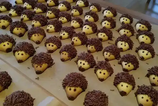Igel Plätzchen