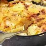Kartoffelgratin mit Joghurt W2xEX 2x webp