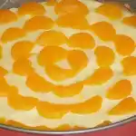 Mandarinen-Schmand-Pudding-Kuchen