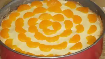 Mandarinen-Schmand-Pudding-Kuchen