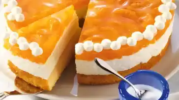Mandarinenkuchen