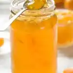 Mandarinenmarmelade mit dem Thermomix
