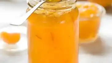 Mandarinenmarmelade mit dem Thermomix