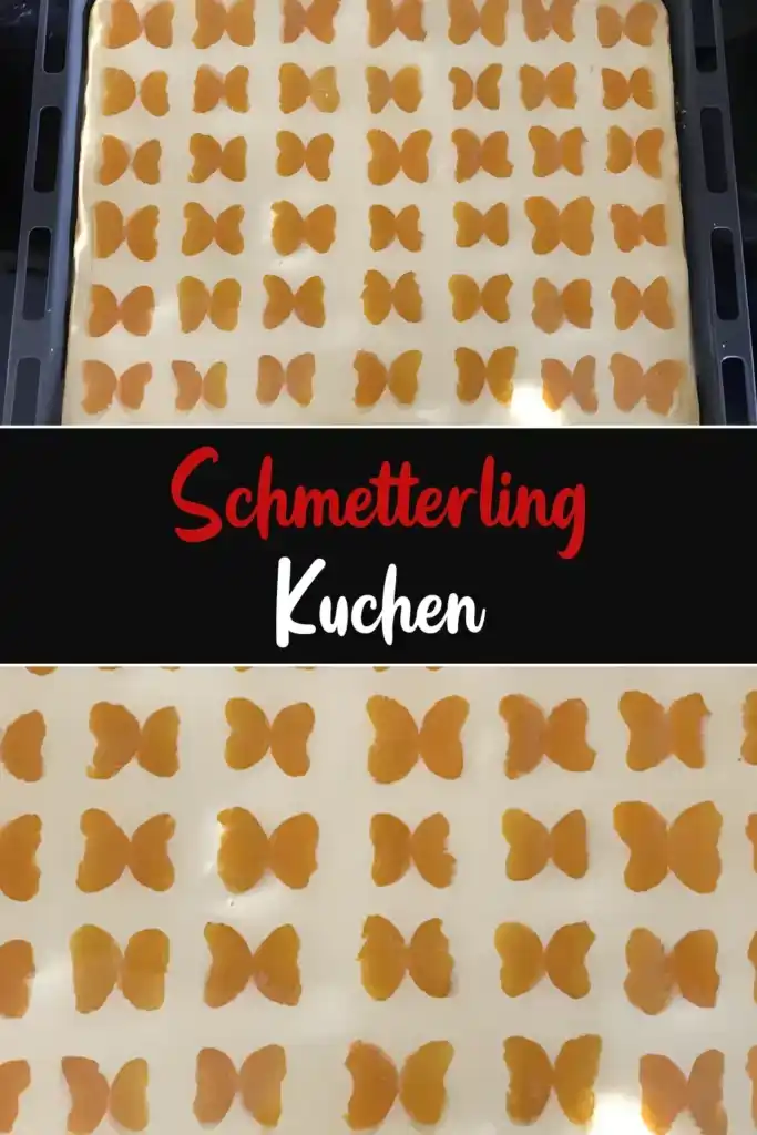 Schmetterling Kuchen 1 Schmetterling Kuchen