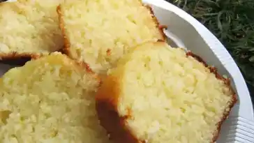 Weisser Schokoladen und Joghurtkuchen W2xEX 2x webp