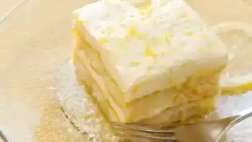 Zitronen Tiramisu W2xEX 2x webp