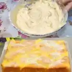 Apfelkuchen mit Vanillepudding - Eine Ode an die süße Kunst des Backens