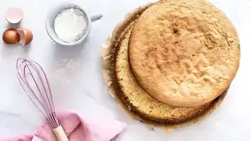 Biskuitboden für Torten und Kuchen