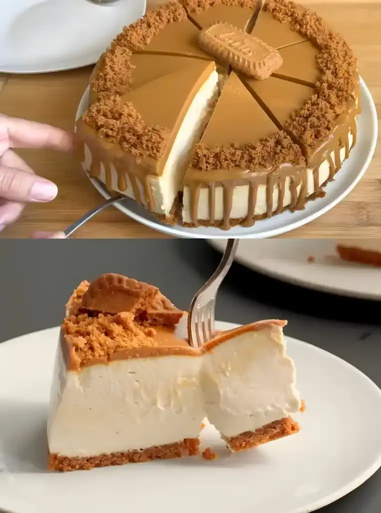 Boahh die sind der absolute Hammer! – Blitz Käsekuchen ohne Backen