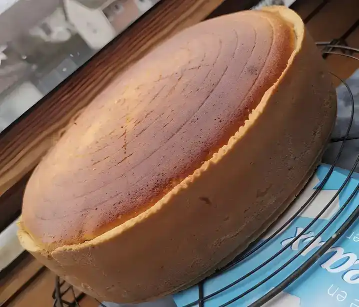 Luftiger Hüttenkäsekuchen