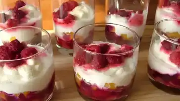 Schneeweiße Wintermousse