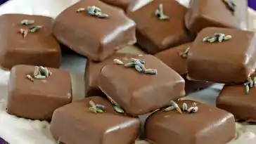 Schokoladen-Kokos-Pralinen: Eine Delikatesse zum Genießen