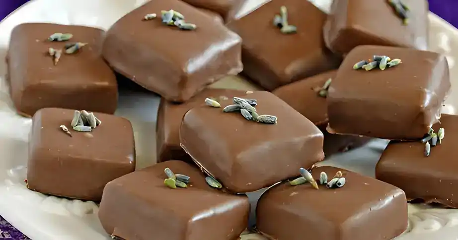 Schokoladen-Kokos-Pralinen: Eine Delikatesse zum Genießen