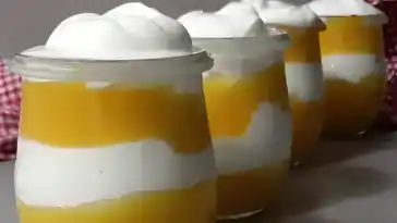Solero Joghurt - Das leichte Dessert für besondere Anlässe mit nur 3 Zutaten