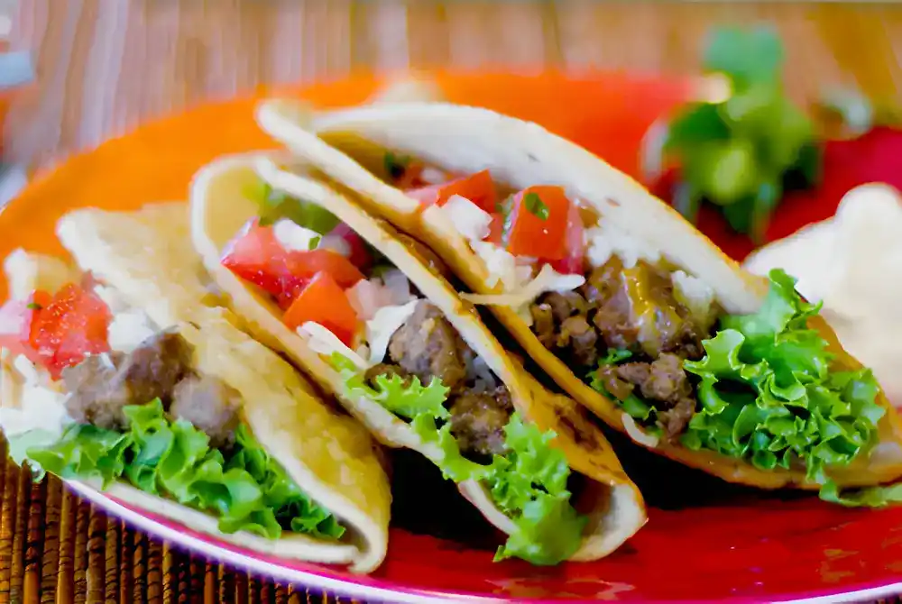 Hausgemachte Taco Shells aus Käse