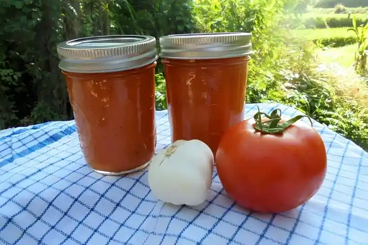 Ofengeröstete Tomatensauce