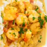 Garnelencurry mit Thermomix