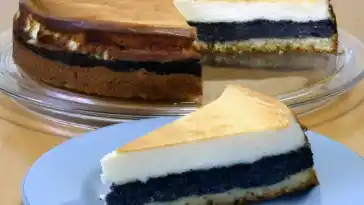Mohnschecke